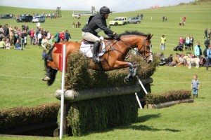 561068_394466800615337_1399501706_n